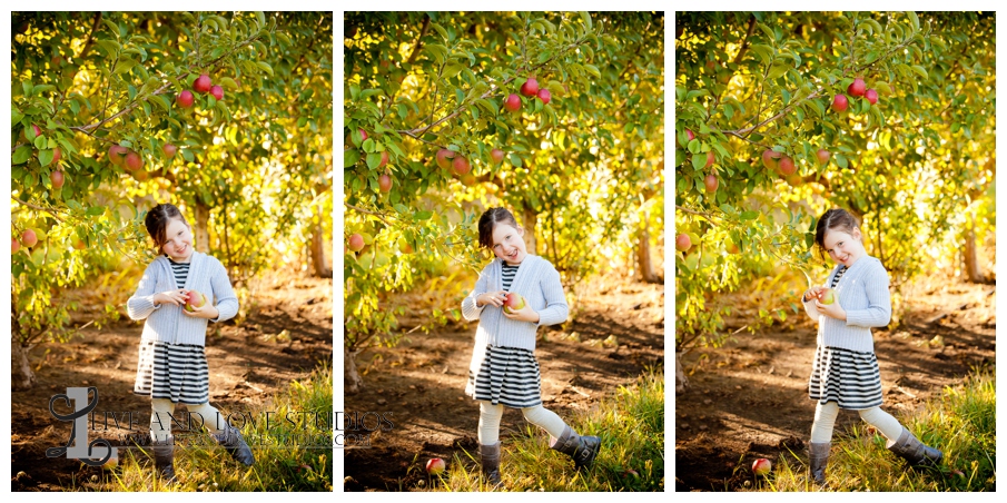 applejack orchard minnesota
